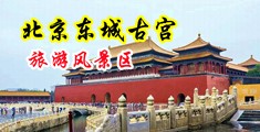 操婊子视频中国北京-东城古宫旅游风景区